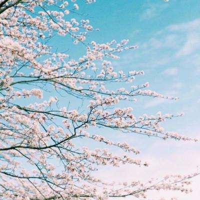 万博体育APP网址